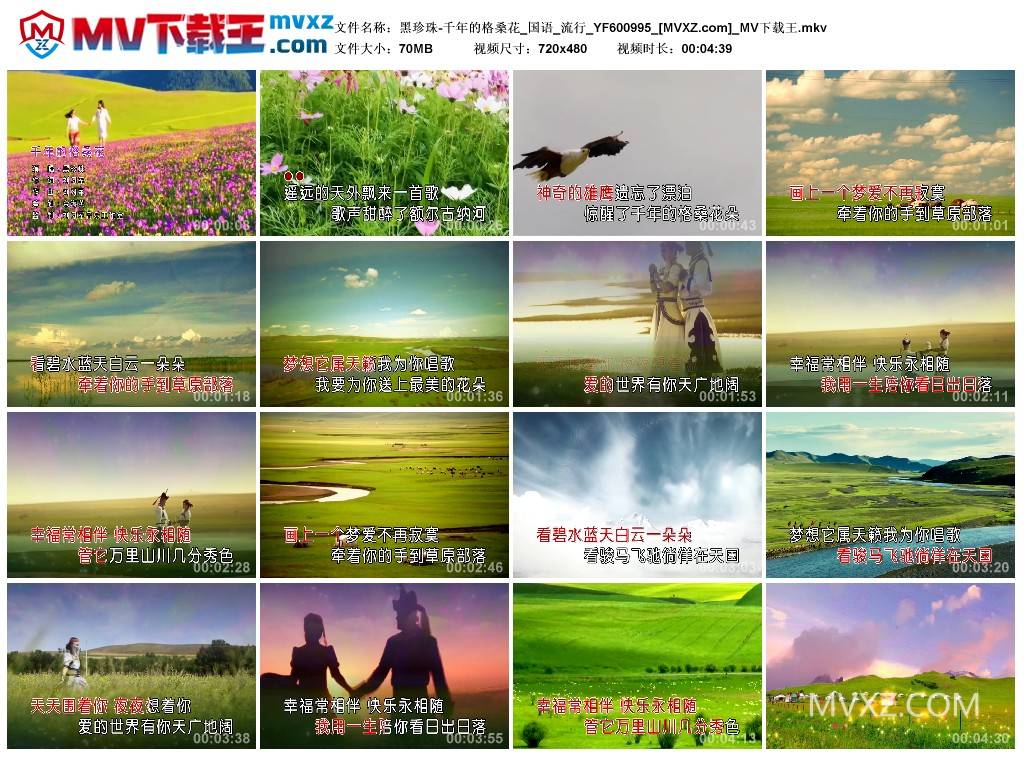 黑珍珠-千年的格桑花_国语_流行_YF600995